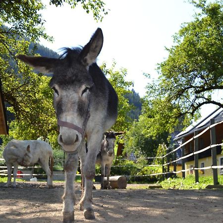 Ferienstadl - Hammerau Göstling an der Ybbs Kültér fotó