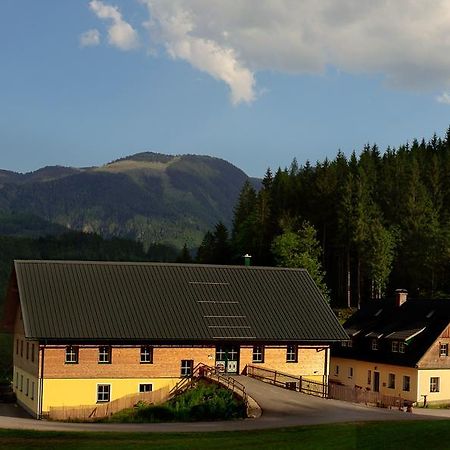 Ferienstadl - Hammerau Göstling an der Ybbs Kültér fotó