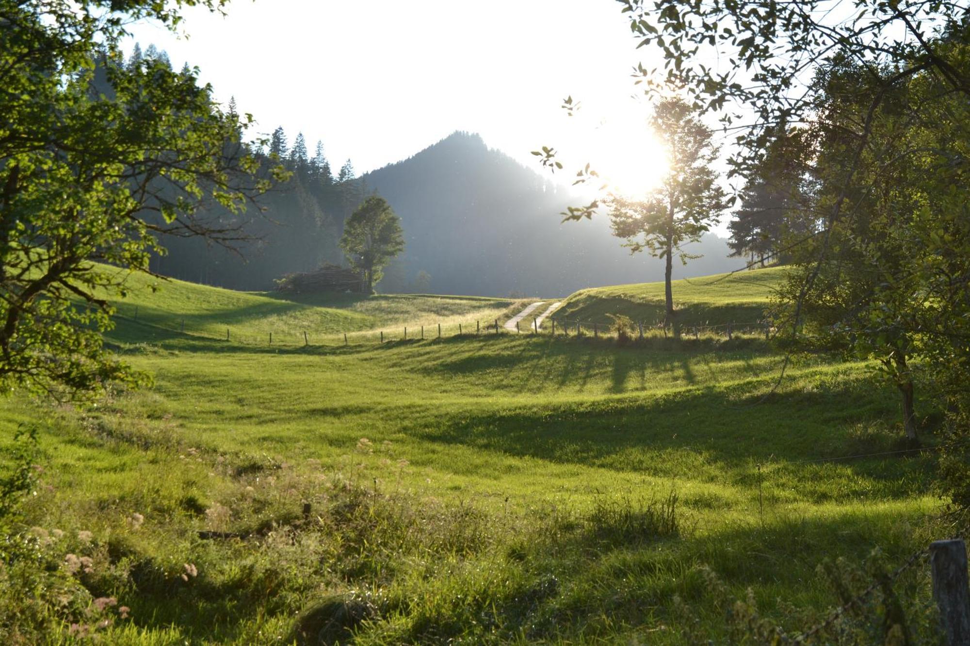 Ferienstadl - Hammerau Göstling an der Ybbs Kültér fotó